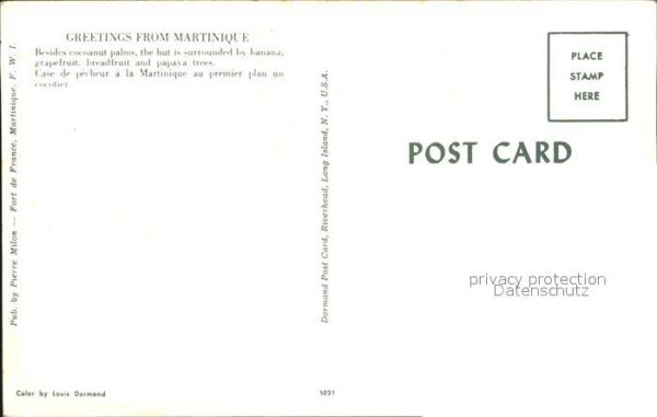 Martinique Schilfhütte – Bild 2