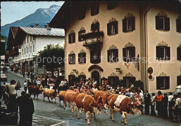 Mayrhofen Zillertal Hotel Neue Post Kurhherde