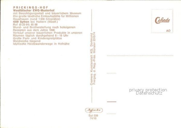 Sythen Fliegeraufnahme Prickings-Hof – Bild 2