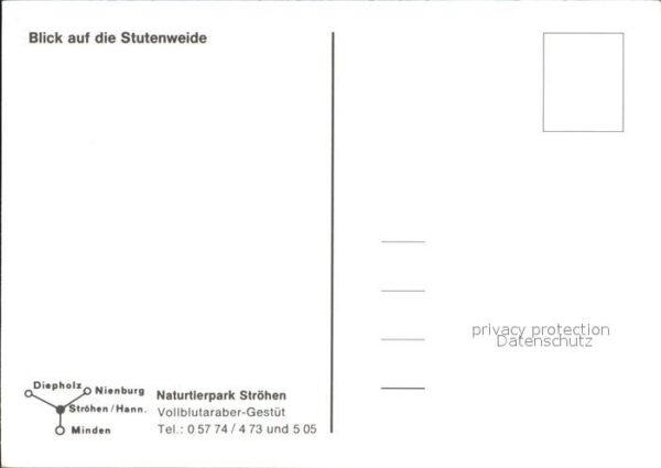 Stroehen Naturpark Stutenweide – Bild 2