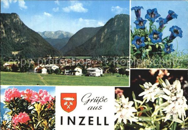 Inzell Panorama Blumenbilder