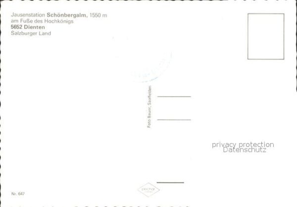 Dienten Hochkoenig Jausenstation Schönbergalm – Bild 2