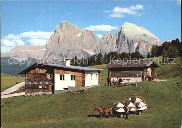 Seiser Alm Dolomiten Panorama
