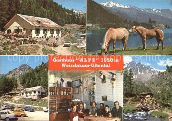 Ultental Gasthaus Alpe Pferdekoppel Gastraum Pan