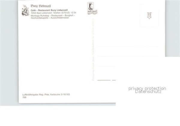 Bad Liebenzell Fliegeraufnahme Burg – Bild 2