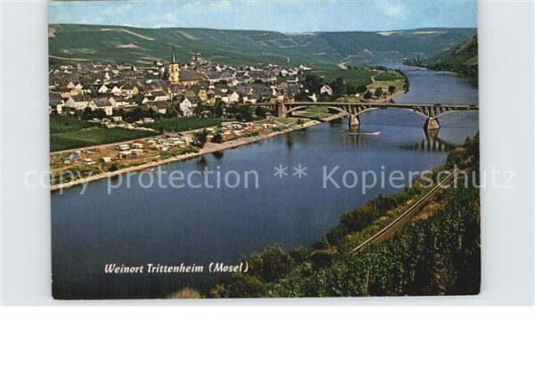 Trittenheim Mosel Panorama