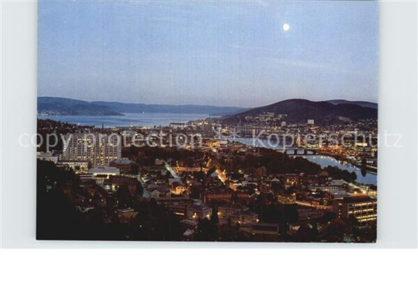 Drammen Panorama