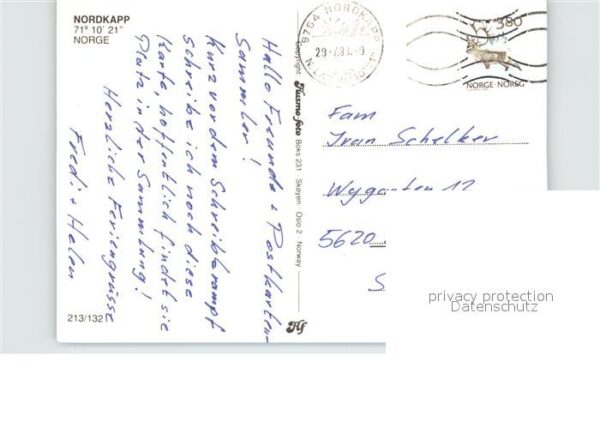 Nordkapp Nordkap Norge Elch – Bild 2