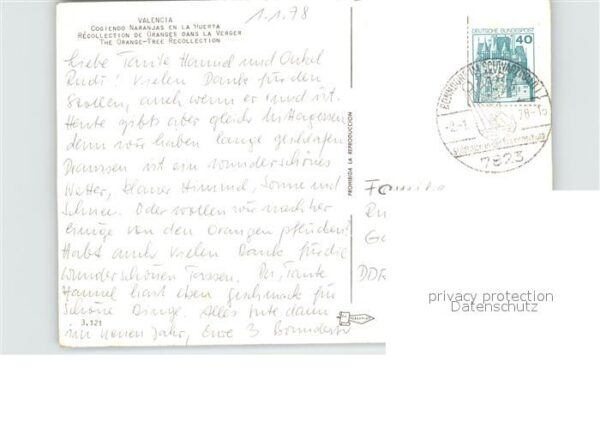 Valencia Valenciana Ernte – Bild 2