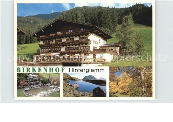 Saalbach-Hinterglemm Birkenhof