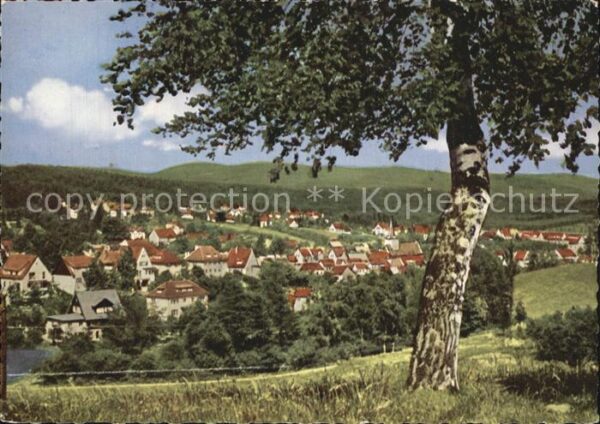 Bad Sachsa Harz Panorama vom Knickberg