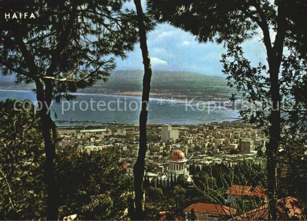 Haifa Panorama