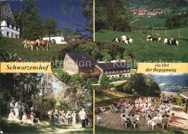 Schwarzenshof Haflinger Eichfeld Hausansicht Platz am