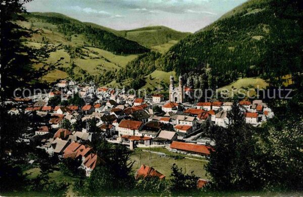 Todtnau Panorama