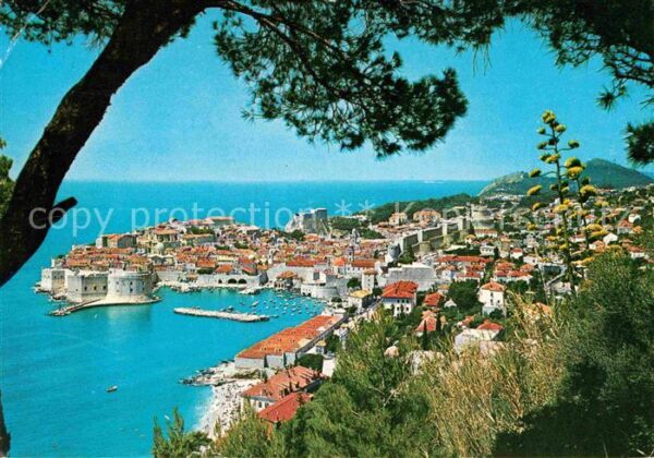 Dubrovnik Ragusa Panorama