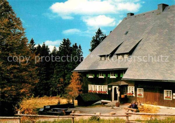 Furtwangen Berggasthof Martinskapelle