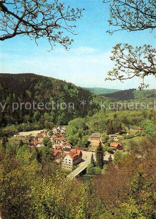 Treseburg Harz Panorama