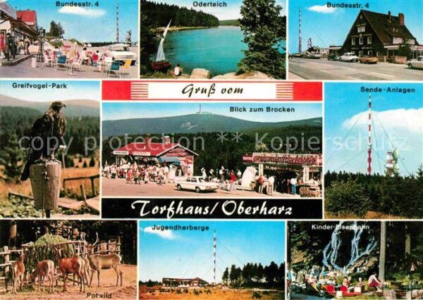 Torfhaus Harz Oderteich Greifvogel Park Brocken Sende