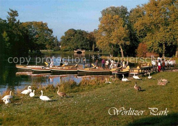 Woerlitz Gondelstation im Wörlitzer Park Schwäne