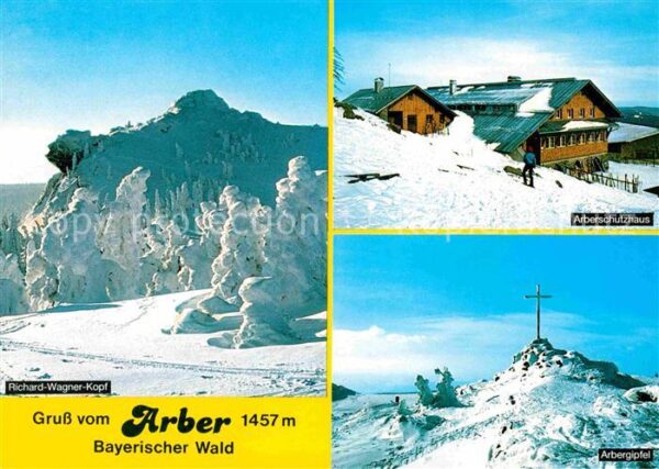 Grosser Arber Winterpanorama Bayerischer Wald Arbersc
