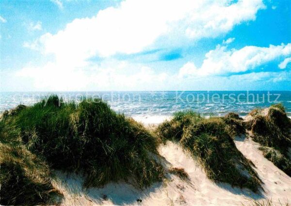 Insel Sylt Dünenausblick