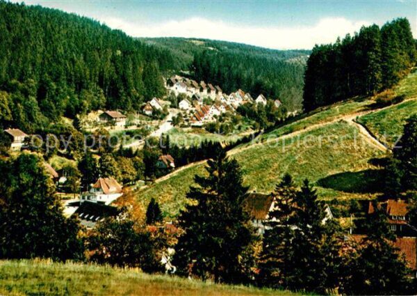 Altenau Harz Bornkappe Panorama
