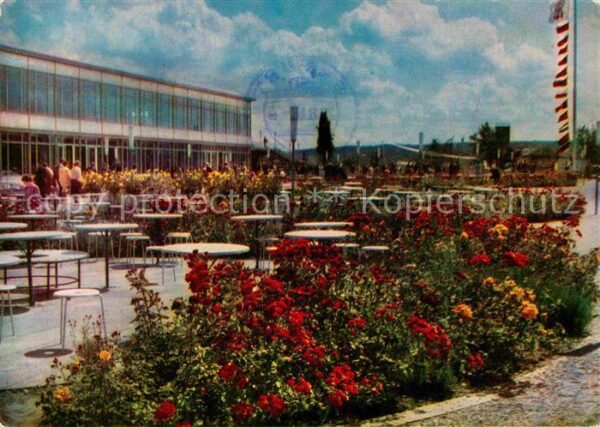Erfurt Gelände der IGA 68 Rosengarten vor der