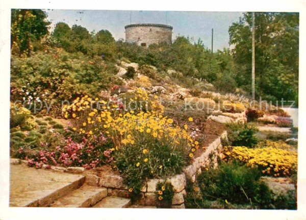 Erfurt Steingarten mit Aussichtsturm