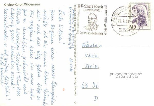 Wildemann – Bild 2