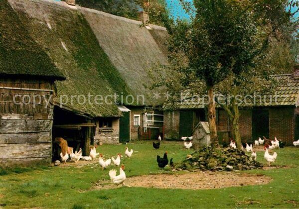 Drenthe Drentse boerderij