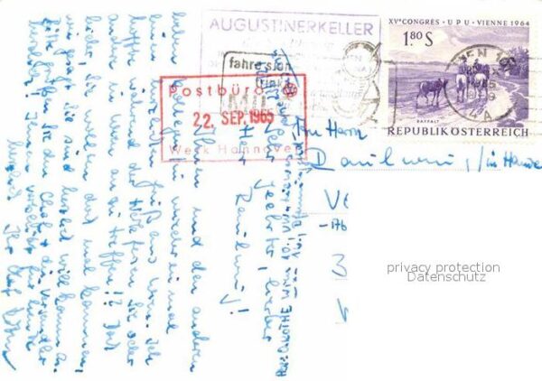 Wien Augustinerkeller – Bild 2