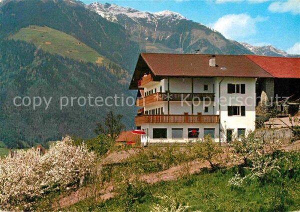 Schenna Meran Garni Nunnemairhof Baumblüte Alpen