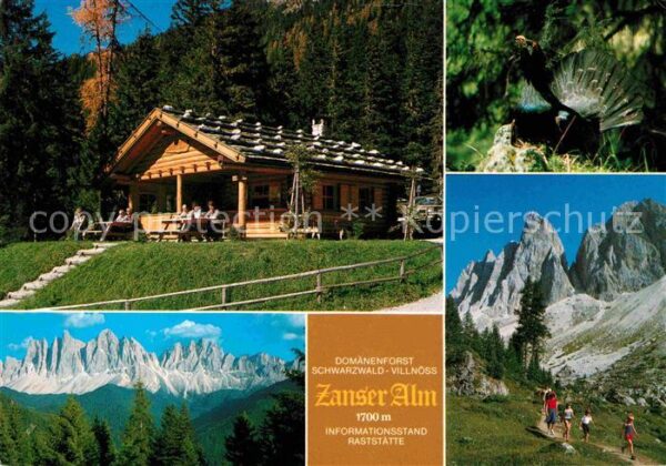 Villnoess Zannser Alm Villnösstal Dolomiten Bergw