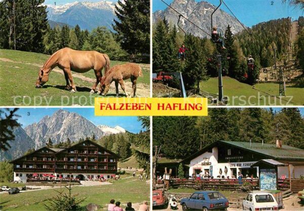 Hafling Haflinger Pferde Sessellift Piffinger K