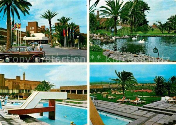 Las Palmas Gran Canaria Hotel Maspalomas Oasis Piscina Schwanen