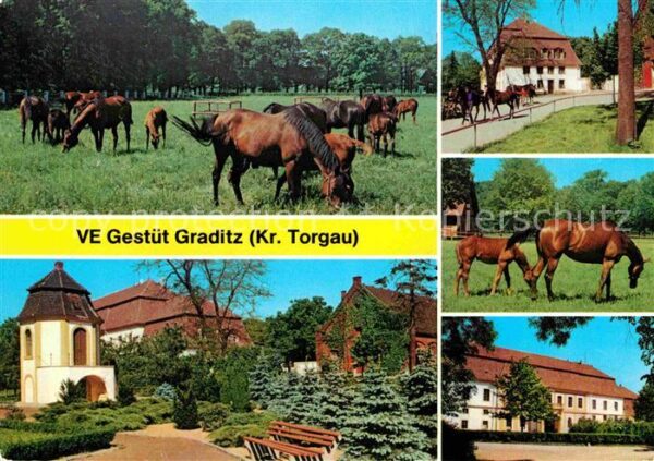 Graditz VE Gestüt Vollblutpferde
