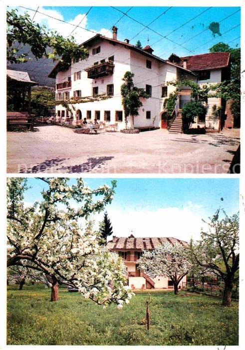 Eppan Suedtirol Restaurant Stroblhof Obstbaumwiese Baum