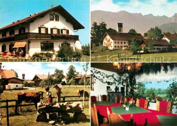 Wackersberg Bad Toelz Pension Willibald Holzbrunnen Kuh