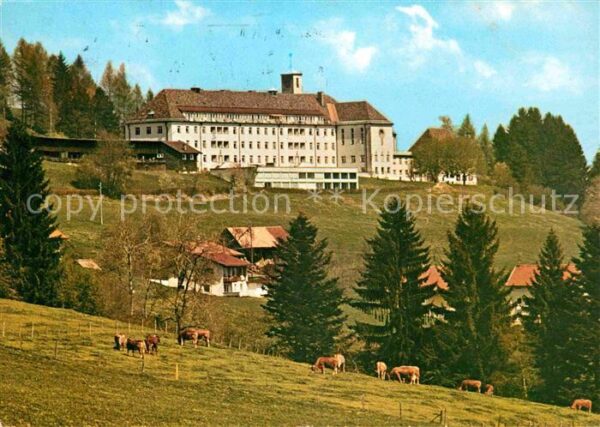 Ried Lindenberg Allgaeu Kursanatorium Viehweide Kühe