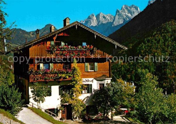 Kufstein Tirol Berggasthof Pfandlhof im Kaisertal Wild