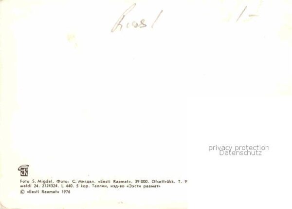 Narva Kauplus Siluett – Bild 2