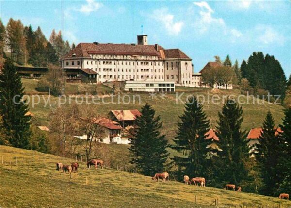 Ried Lindenberg Allgaeu Kursanatorium Viehweide Kühe
