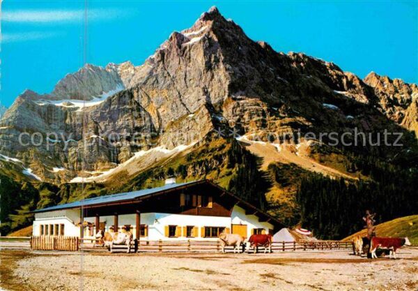 Eng Alm Rasthütte Karwendelgebirge Almvieh Kühe