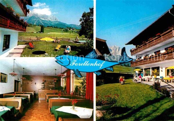 Going Wilden Kaiser Tirol Hotel Restaurant Forellenhof Alpenblick