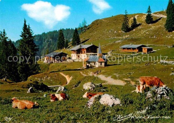 Kufstein Tirol Kaindl Hütte am Wilden Kaiser Almvieh K