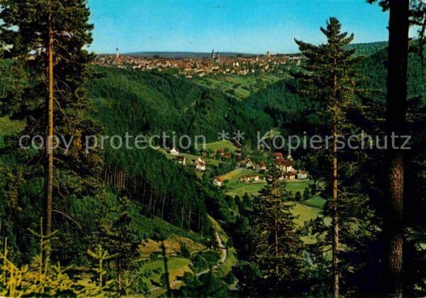 Freudenstadt Blick vom Friedrichstal
