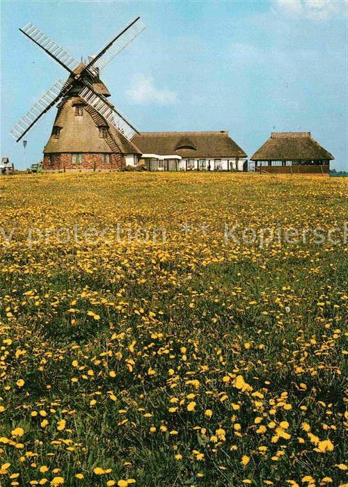 Dorf Mecklenburg Erdholländermühle Restaurant