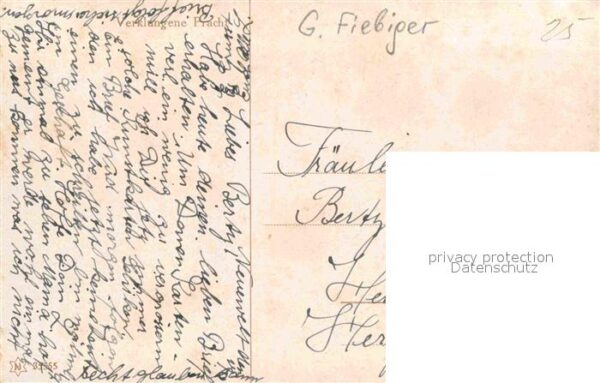 Fiebiger G. Verklungene Pracht – Bild 2