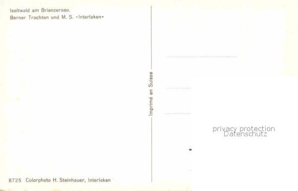 Motorschiffe M.S. Interlaken Iseltwald Brienzersee B – Bild 2