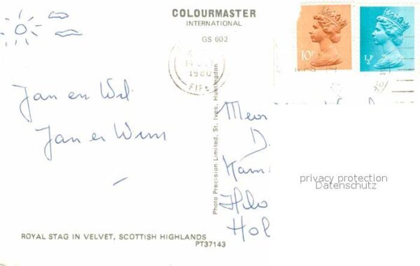 Hirsch Royal Stag Vevet Scottish Highlands – Bild 2